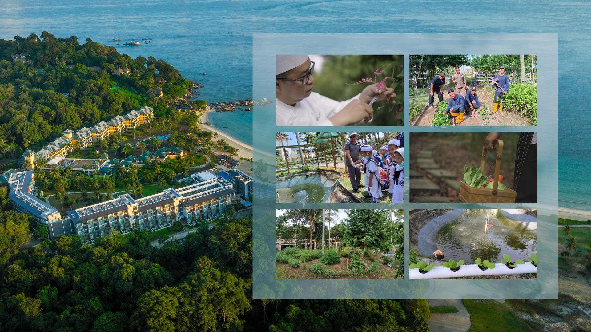 Sustainable Farming Angsana Bintan